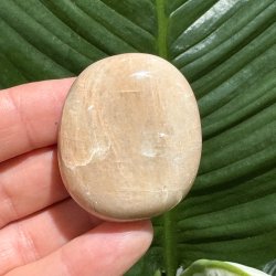 Fersken m�nesten jumbo