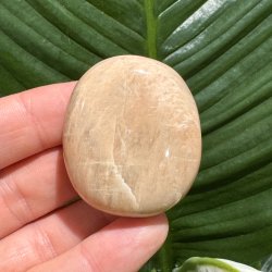 Fersken m�nesten jumbo