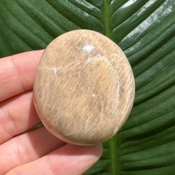 Fersken m�nesten jumbo