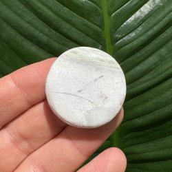 Unicorn jaspis flad lommesten