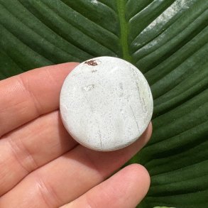 Unicorn jaspis flad lommesten