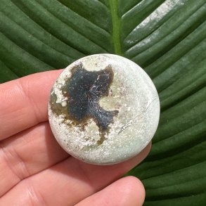 Unicorn jaspis flad lommesten