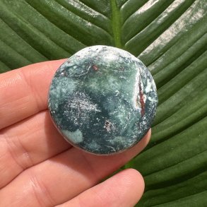 Unicorn jaspis flad lommesten