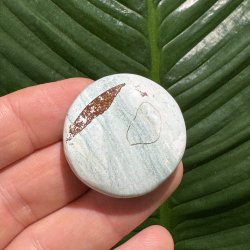 Unicorn jaspis flad lommesten