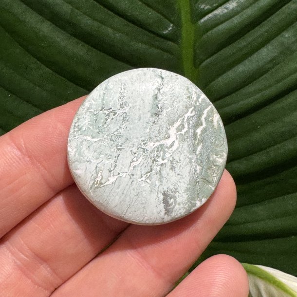 Unicorn jaspis flad lommesten