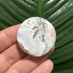 Unicorn jaspis flad lommesten