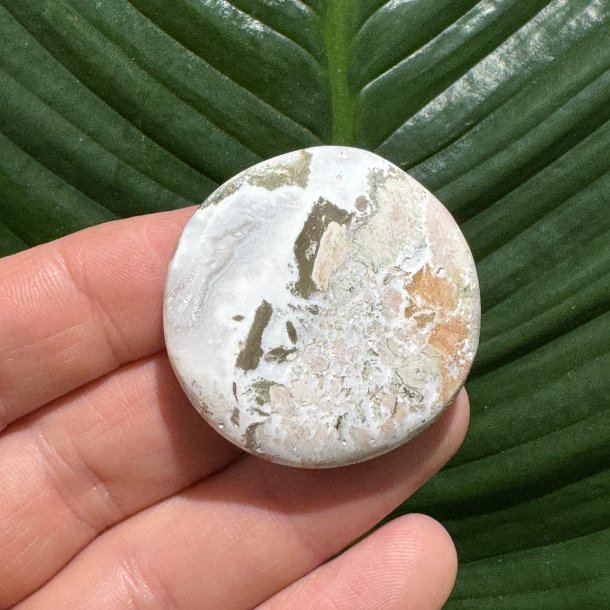 Unicorn jaspis flad lommesten