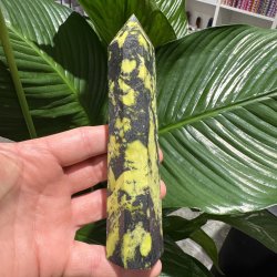 Serpentin t�rn med pyrit 160 mm