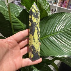 Serpentin t�rn med pyrit 160 mm