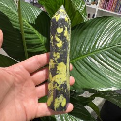 Serpentin t�rn med pyrit 160 mm