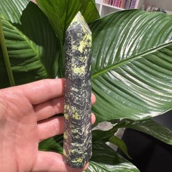 Serpentin t�rn med pyrit 160 mm