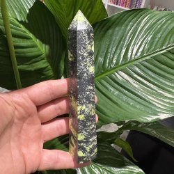 Serpentin t�rn med pyrit 160 mm