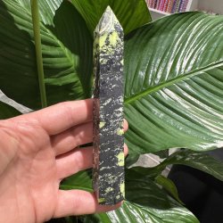 Serpentin t�rn med pyrit 160 mm