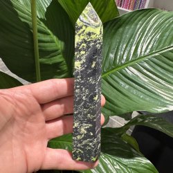 Serpentin t�rn med pyrit 160 mm