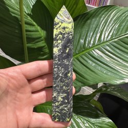 Serpentin t�rn med pyrit 160 mm