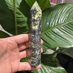 Serpentin t�rn med pyrit 160 mm