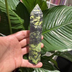 Serpentin t�rn med pyrit 160 mm