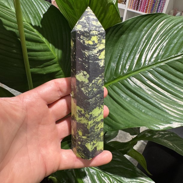 Serpentin t�rn med pyrit 160 mm