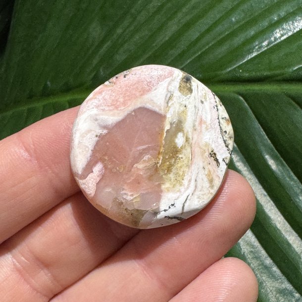 Pink opal flad jumbo