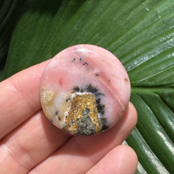 Pink opal flad jumbo