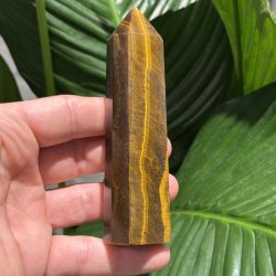 Tiger�je t�rn 119mm