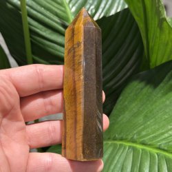 Tiger�je t�rn 119mm