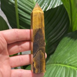 Tiger�je t�rn 119mm