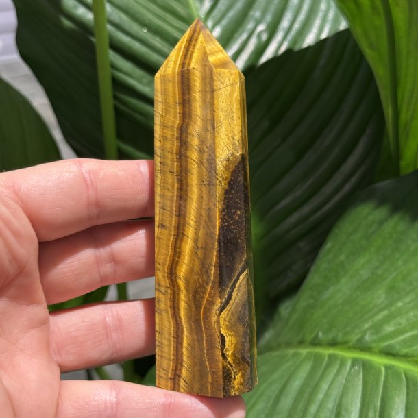 Tiger�je t�rn 119mm