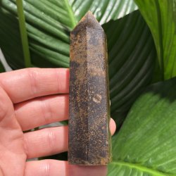 Tiger�je t�rn 110mm