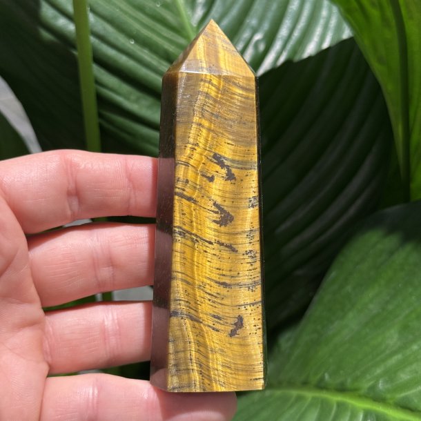 Tiger�je t�rn 110mm