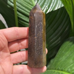 Tiger�je t�rn 110mm