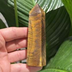 Tiger�je t�rn 110mm