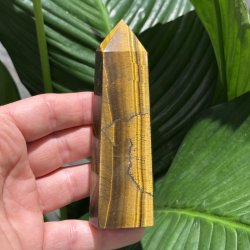 Tiger�je t�rn 116mm