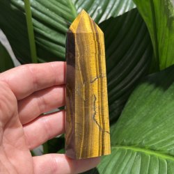 Tiger�je t�rn 116mm