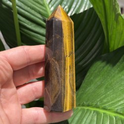 Tiger�je t�rn 116mm