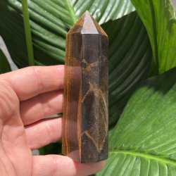 Tiger�je t�rn 116mm