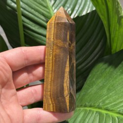 Tiger�je t�rn 116mm