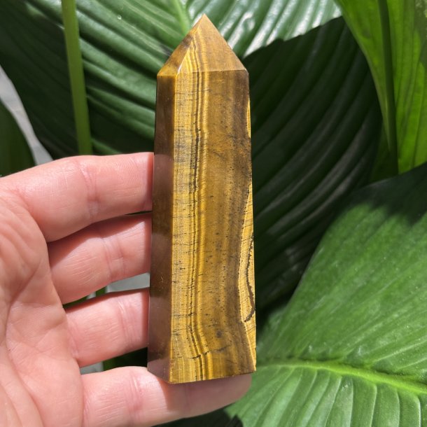 Tiger�je t�rn 116mm