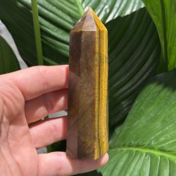 Tiger�je t�rn 116mm