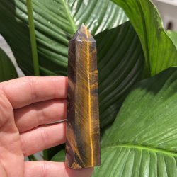 Tiger�je t�rn 117mm