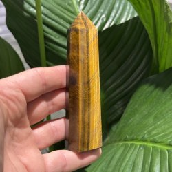 Tiger�je t�rn 117mm