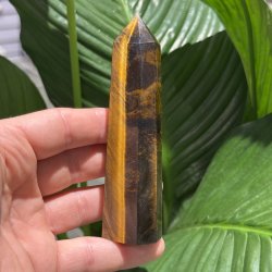 Tiger�je t�rn 117mm