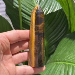 Tiger�je t�rn 117mm