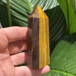 Tiger�je t�rn 100mm