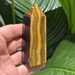 Tiger�je t�rn 100mm