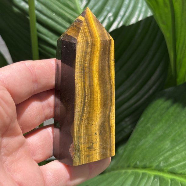 Tiger�je t�rn 100mm