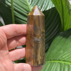 Tiger�je t�rn 109mm