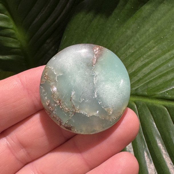 Chrysopras flad jumbo