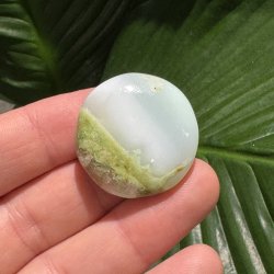 Chrysopras flad jumbo