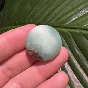 Chrysopras flad jumbo mini